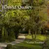 David Qualey - Guitar Parables